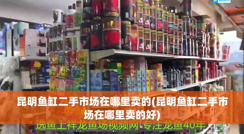 昆明魚缸二手市場在哪里賣的(昆明魚缸二手市場在哪里賣的好)