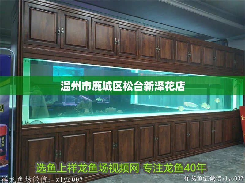 溫州市鹿城區(qū)松臺新澤花店 溫州市鹿城區(qū)松臺新澤花店 全國水族館企業(yè)名錄 第1張