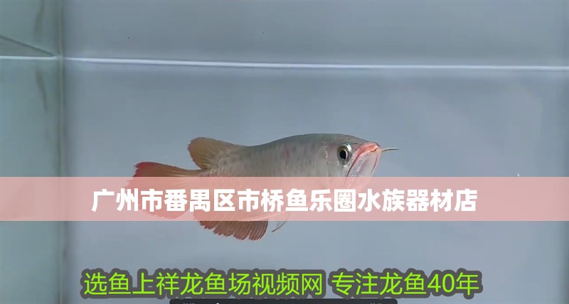 廣州市番禺區(qū)市橋魚樂圈水族器材店