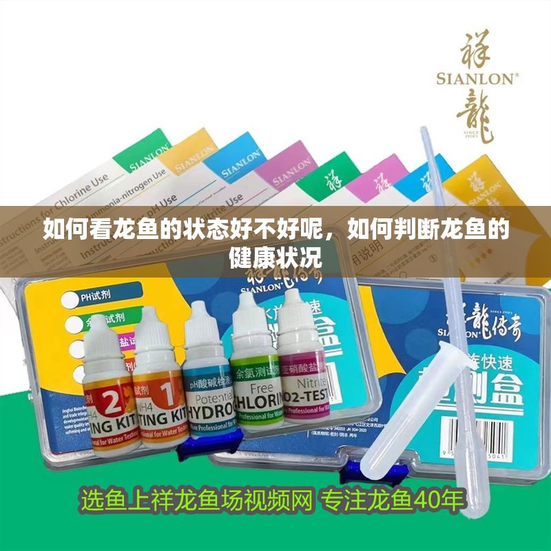 如何看龍魚的狀態(tài)好不好呢，如何判斷龍魚的健康狀況