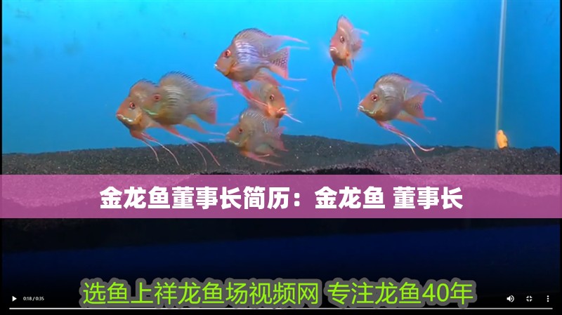 金龍魚董事長簡歷：金龍魚 董事長