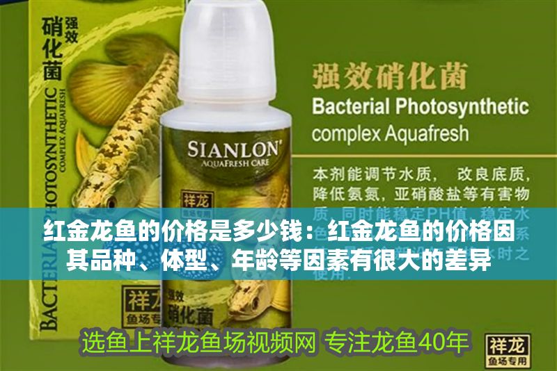 紅金龍魚的價格是多少錢：紅金龍魚的價格因其品種、體型、年齡等因素有很大的差異