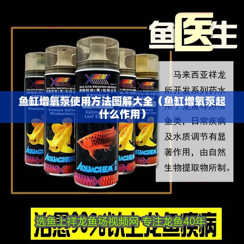 魚缸增氧泵使用方法圖解大全（魚缸增氧泵起什么作用）