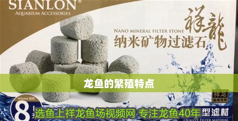 龍魚的繁殖特點