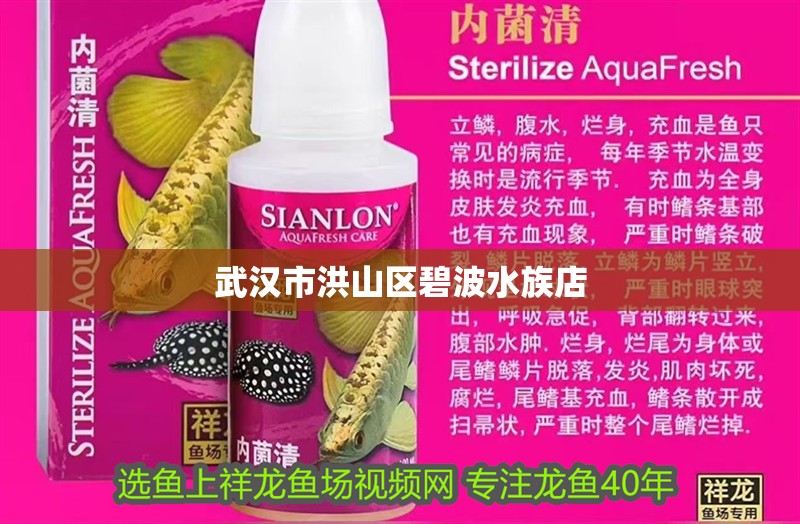 武漢市洪山區碧波水族店 武漢市洪山區碧波水族店 全國水族館企業名錄 第1張