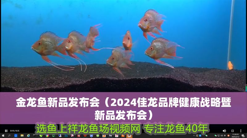 金龍魚新品發布會（2024佳龍品牌健康戰略暨新品發布會）