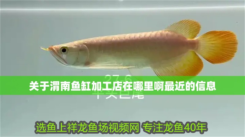 關(guān)于渭南魚缸加工店在哪里啊最近的信息