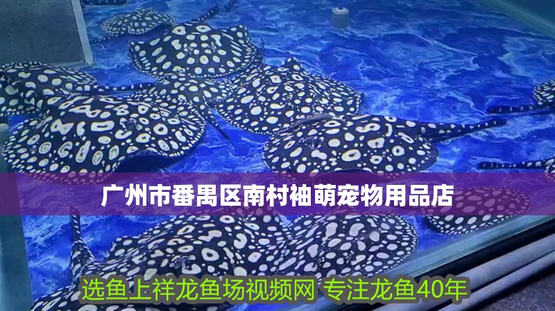 廣州市番禺區南村袖萌寵物用品店