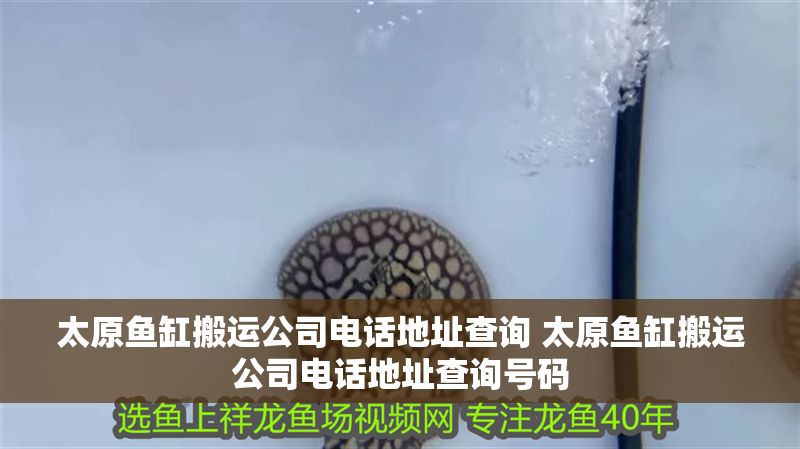 太原魚缸搬運(yùn)公司電話地址查詢 太原魚缸搬運(yùn)公司電話地址查詢號碼