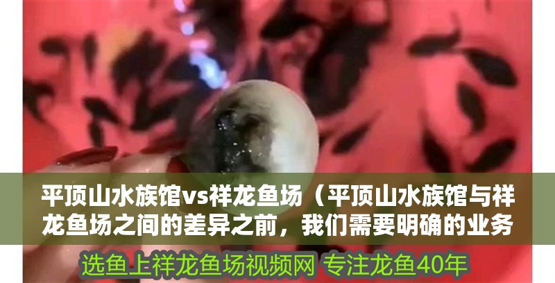平頂山水族館vs祥龍魚場（平頂山水族館與祥龍魚場之間的差異之前，我們需要明確的業(yè)務(wù)范圍）