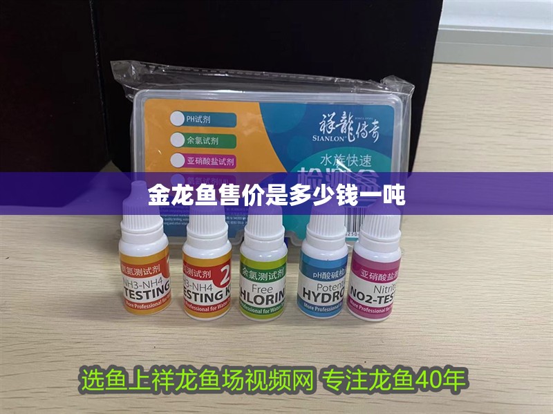 金龍魚售價(jià)是多少錢一噸 金龍魚售價(jià)是多少錢一噸 龍魚百科 第1張