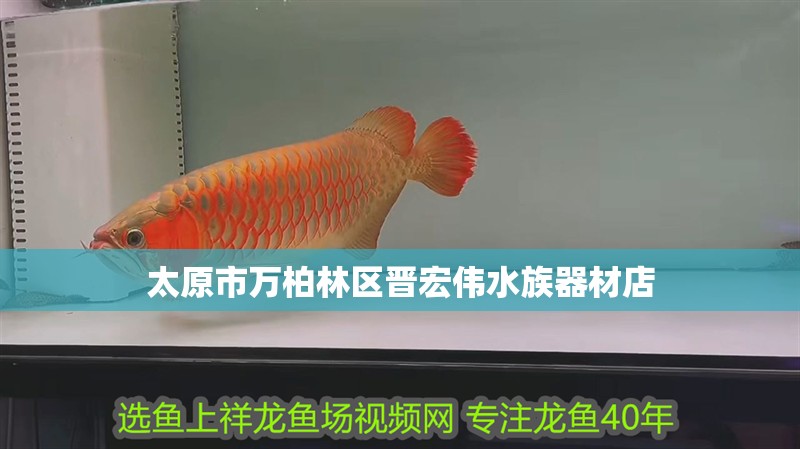 太原市萬柏林區晉宏偉水族器材店 太原市萬柏林區晉宏偉水族器材店 全國水族館企業名錄 第1張