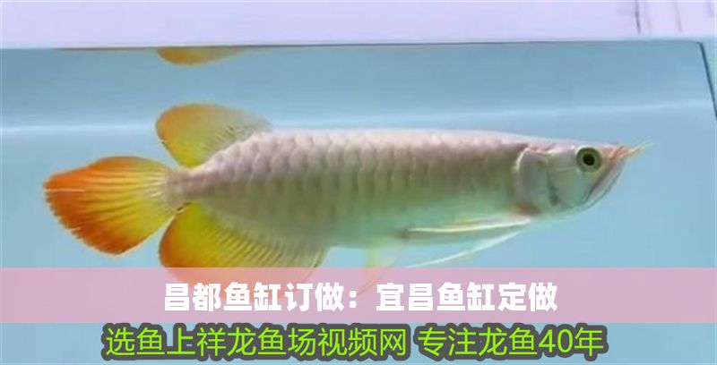 昌都魚缸訂做：宜昌魚缸定做 昌都魚缸訂做：宜昌魚缸定做 龍魚百科 第1張