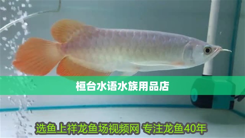 桓臺水語水族用品店