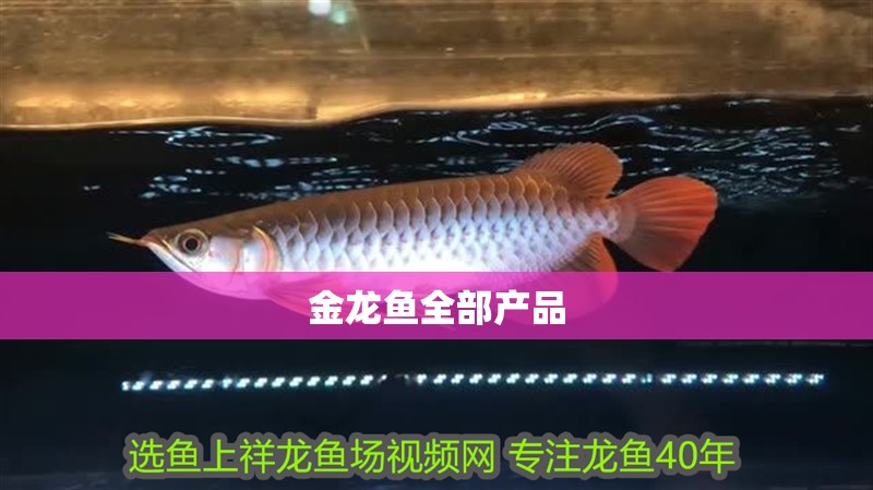 金龍魚全部產品
