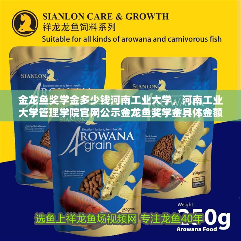 金龍魚獎學金多少錢河南工業大學，河南工業大學管理學院官網公示金龍魚獎學金具體金額