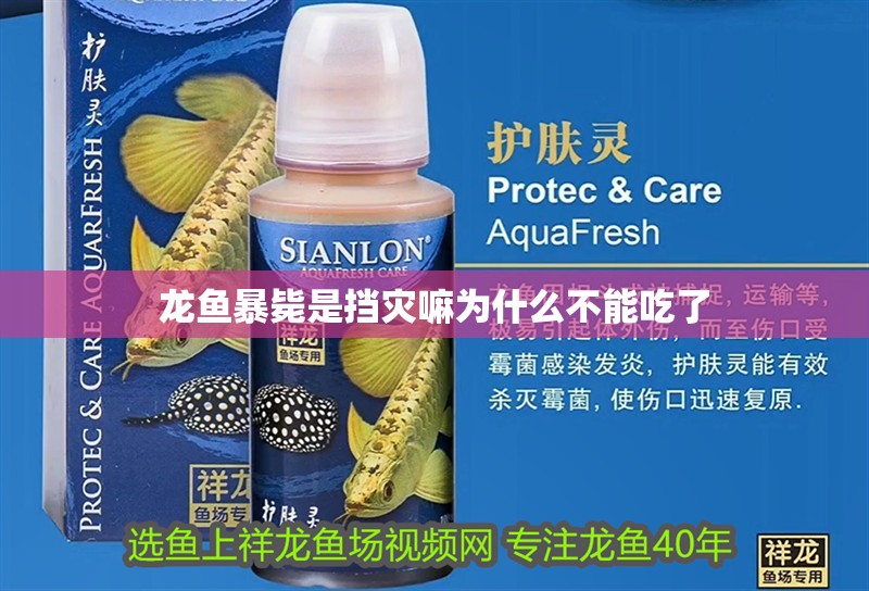 龍魚暴斃是擋災嘛為什么不能吃了
