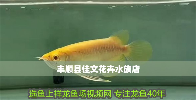 豐順縣佳文花卉水族店