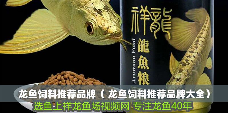 龍魚飼料推薦品牌（ 龍魚飼料推薦品牌大全）