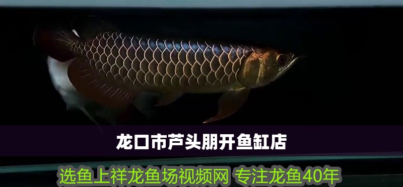 龍口市蘆頭朋開魚缸店 龍口市蘆頭朋開魚缸店 全國水族館企業名錄 第1張