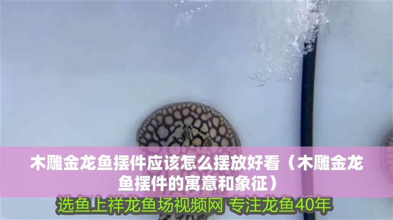木雕金龍魚擺件應該怎么擺放好看（木雕金龍魚擺件的寓意和象征）