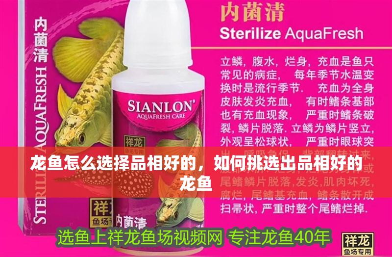 龍魚怎么選擇品相好的，如何挑選出品相好的龍魚