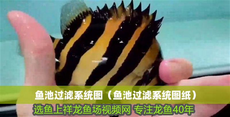 魚池過濾系統圖（魚池過濾系統圖紙）