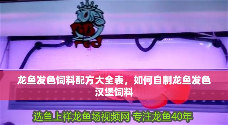 龍魚發(fā)色飼料配方大全表，如何自制龍魚發(fā)色漢堡飼料