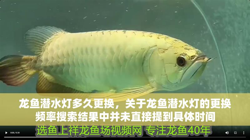 龍魚潛水燈多久更換,關于龍魚潛水燈的更換頻率搜索結果中并未直接提到具體時間 龍魚百科 第2張 龍魚潛水燈多久更換,關于龍魚潛水燈的更換頻率搜索結果中并未直接提到具體時間 龍魚潛水燈多久更換,關于龍魚潛水燈的更換頻率搜索結果中并未直接提到具體時間 龍魚百科 第2張