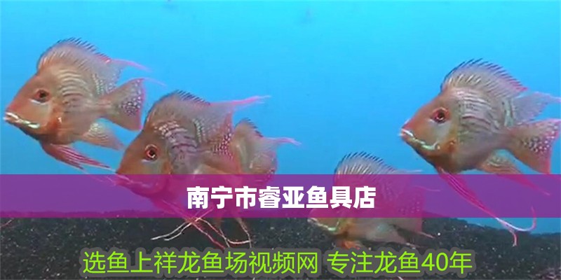 南寧市睿亞魚具店