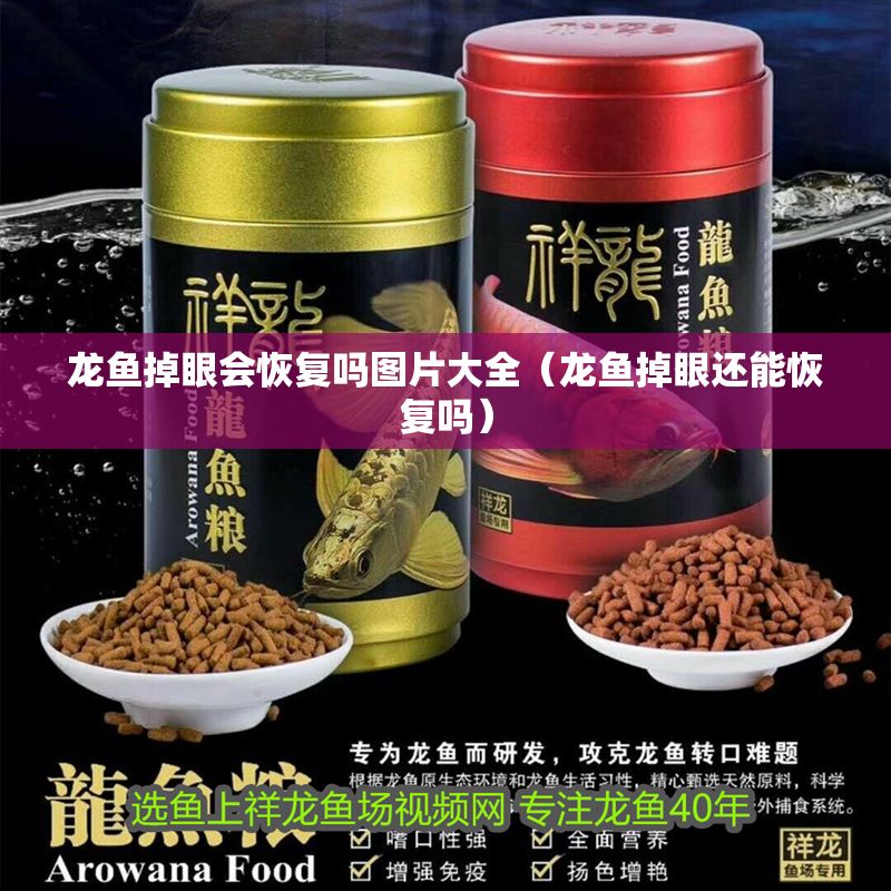 龍魚掉眼會恢復嗎圖片大全（龍魚掉眼還能恢復嗎）
