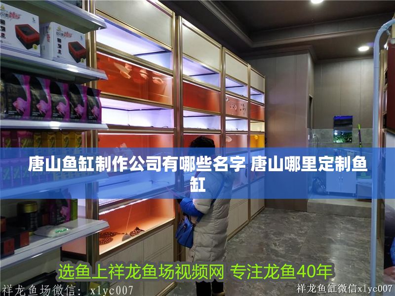 唐山魚缸制作公司有哪些名字 唐山哪里定制魚缸