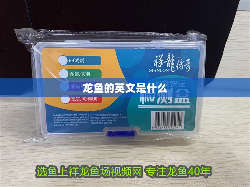 揭秘天價錦鯉，一條魚為何能賣到上千萬？ 揭秘天價錦鯉，一條魚為何能賣到上千萬？ 龍魚百科 第1張