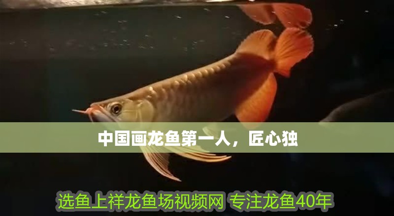 中國畫龍魚第一人，匠心獨 中國畫龍魚第一人，匠心獨 水族問答