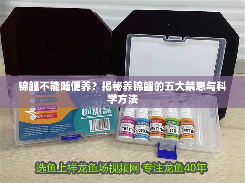 錦鯉不能隨便養(yǎng)？揭秘養(yǎng)錦鯉的五大禁忌與科學方法