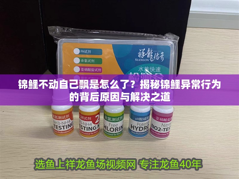錦鯉不動自己飄是怎么了？揭秘錦鯉異常行為的背后原因與解決之道