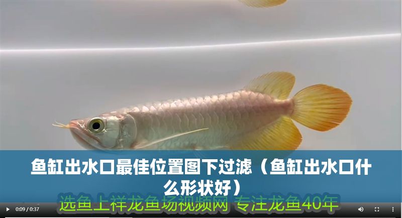 魚缸出水口最佳位置圖下過濾（魚缸出水口什么形狀好） 魚缸出水口最佳位置圖下過濾（魚缸出水口什么形狀好） 龍魚百科 第1張