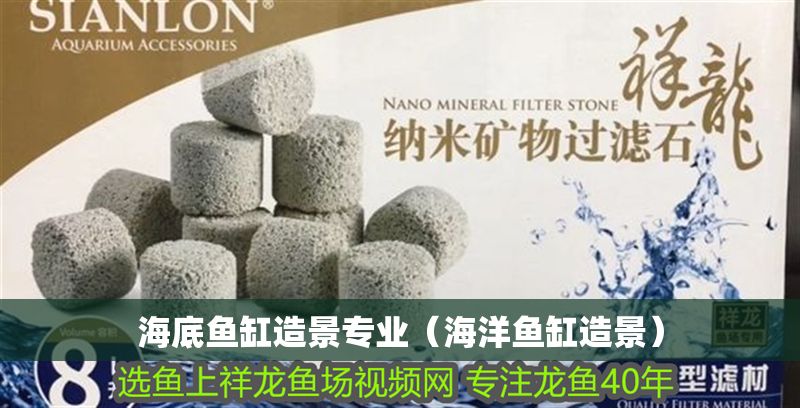 海底魚缸造景專業(yè)（海洋魚缸造景）