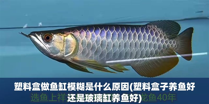 塑料盒做魚缸模糊是什么原因(塑料盒子養魚好還是玻璃缸養魚好)