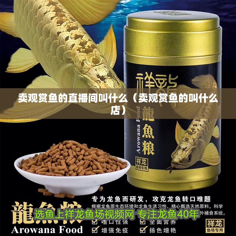 賣觀賞魚的直播間叫什么（賣觀賞魚的叫什么店）