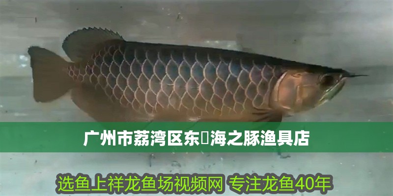 廣州市荔灣區東漖海之豚漁具店