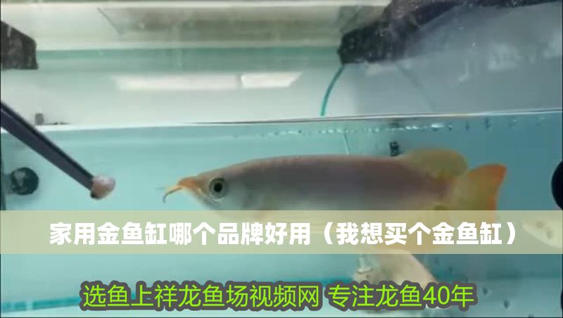 家用金魚缸哪個品牌好用（我想買個金魚缸）