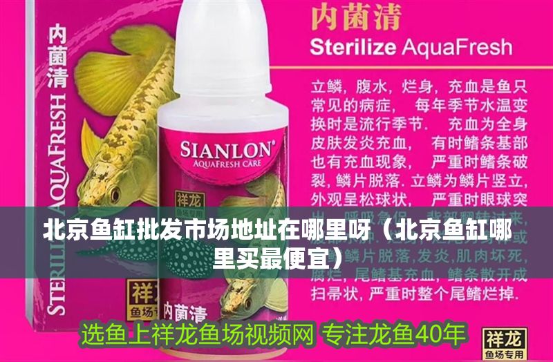 北京魚缸批發市場地址在哪里呀（北京魚缸哪里買最便宜）