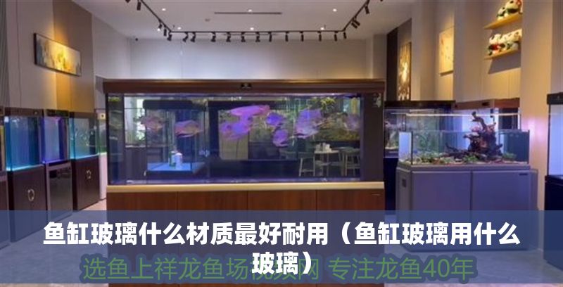 魚缸玻璃什么材質最好耐用（魚缸玻璃用什么玻璃）