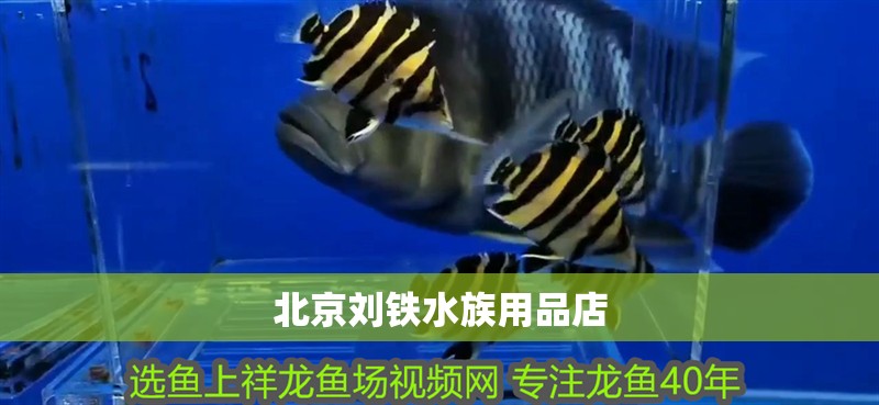 北京劉鐵水族用品店 北京劉鐵水族用品店 全國水族館企業名錄 第1張