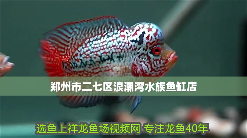鄭州市<strong><mark>二七</mark></strong>區浪潮灣水族魚缸店