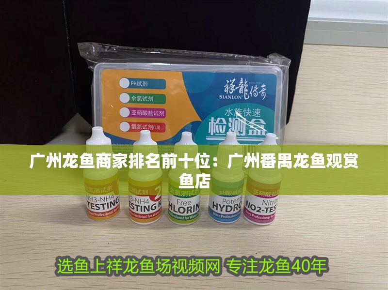 廣州龍魚商家排名前十位：廣州番禺龍魚觀賞魚店