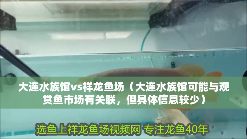 大連水族館vs祥龍魚場（大連水族館可能與觀賞魚市場有關聯，但具體信息較少）