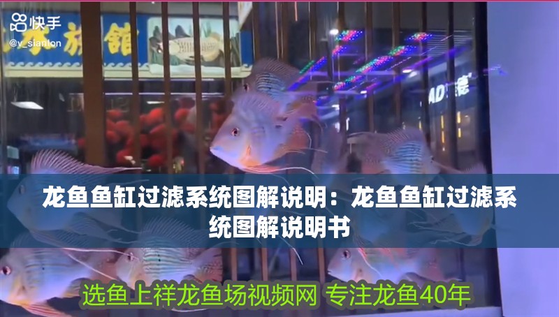 龍魚魚缸過濾系統圖解說明：龍魚魚缸過濾系統圖解說明書 龍魚魚缸過濾系統圖解說明：龍魚魚缸過濾系統圖解說明書 水族問答