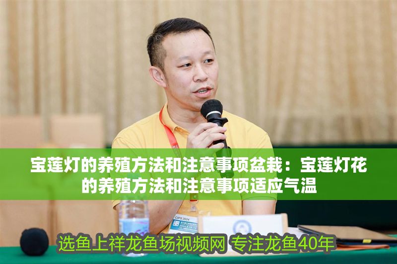 寶蓮燈的養殖方法和注意事項盆栽：寶蓮燈花的養殖方法和注意事項適應氣溫